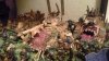20171002_123754_resized.jpg