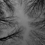 FaceToTheSky
