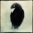 Crowking